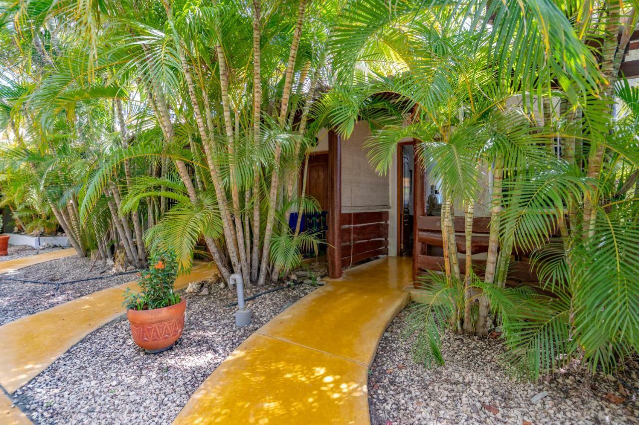 The Dive Hut - Boutique Apartments Playa Exteriér fotografie